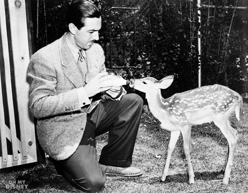 Illustration for article titled Celebrate Bambi’s 74th anniversary with this look back at its creation